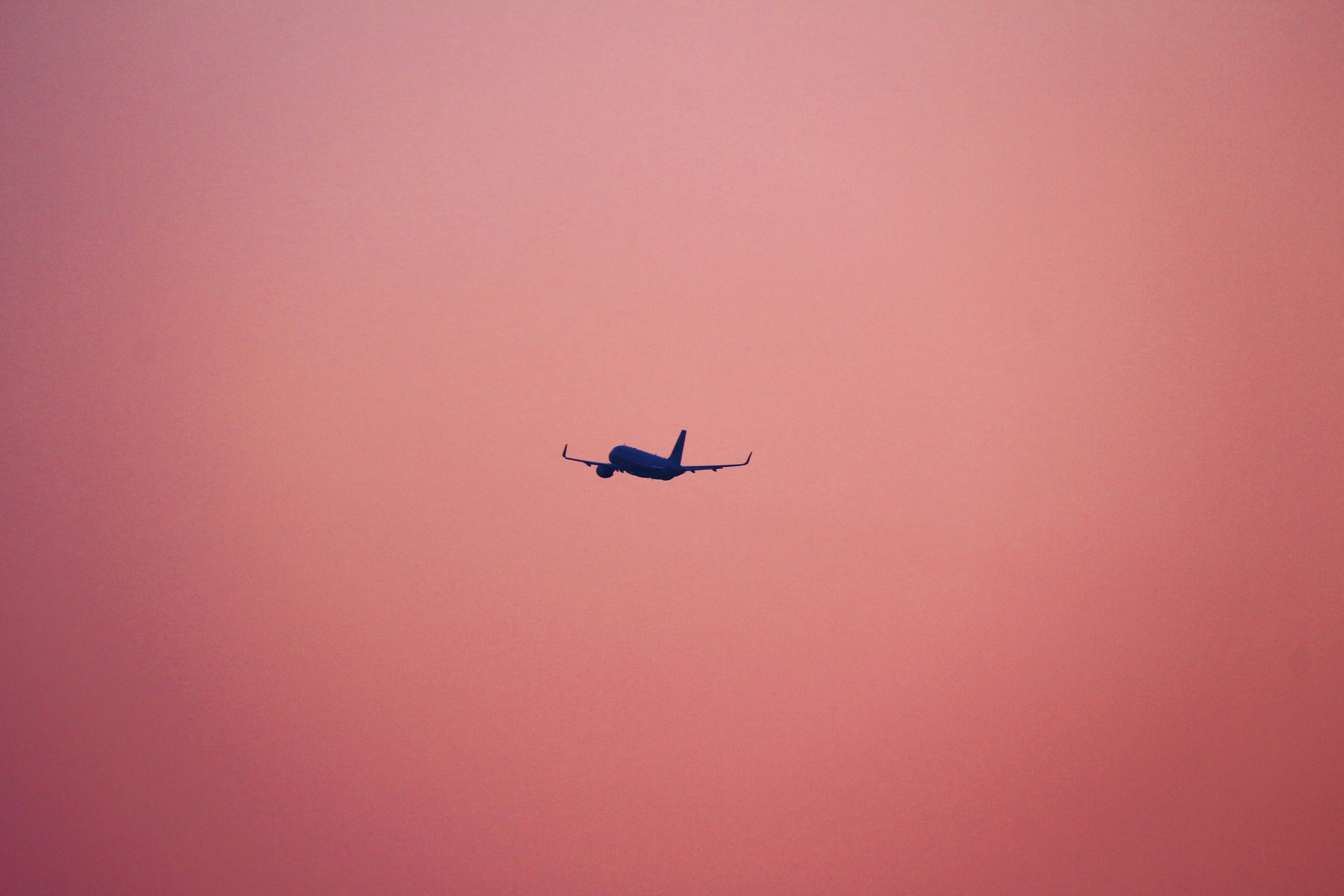 plane flying on pink background